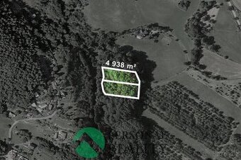 Prodej lesy, 6 901 m2 - Loučky  u Turnova, ev.č. 01900