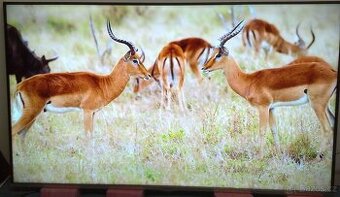 Prodam 139cm(55") SMART DVB-T2 LED FullHD TV LG 55LB679V.Za