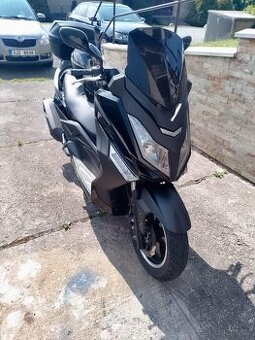 Taro 125