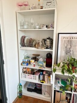 Regal IKEA