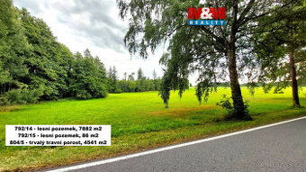 Prodej lesa, 21303 m², Štoky