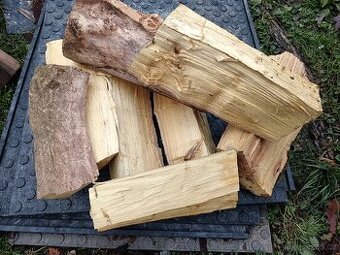 Suchý dub palivové dřevo