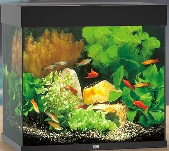 Akvarium Juwel 120 Lido + veškeré vybavení - 1