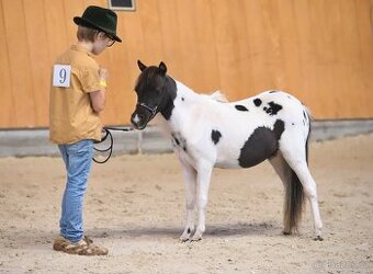 Klisna Minihorse, 2 roky