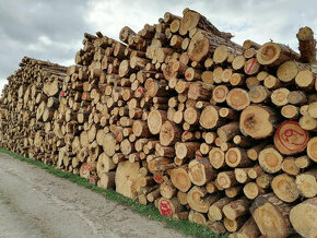 Kamion palivového dřeva