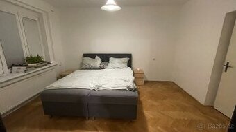 Bukové parkety