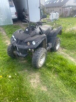 Access Max 300