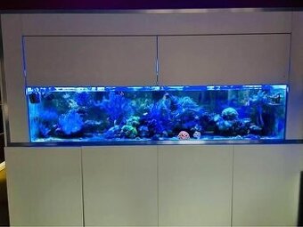 Mořské akvárium 550l plus filtrace- prodám