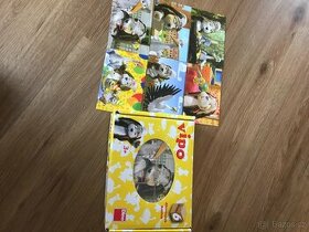 Dřevěné kostky- létající pejsek Vipo,DINO