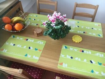 Plastová prostírání (různé motivy)