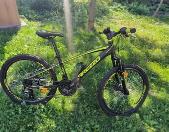 Chlapecké kolo Arezzo Roco 24" černá/zelená
