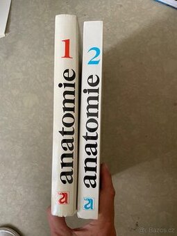 Anatomie 1,2dil