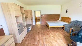 Prodej bytu 1+1 49 m² Mladé Buky