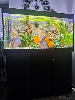 Akvarium Juwel Rio 350