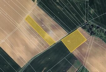 Prodej pole v k.ú. Moravské Prusy, ev.č. 2025-10-20-134248