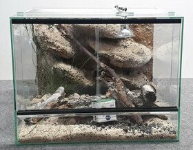 Terária pro malé ještěry či hady