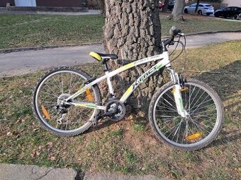 Horské kolo X-FACT Street Jump 24