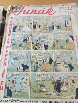 Týdení časopis mládeže Junák.