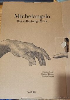 Michelangelo Das vollständige Werk 1475-1564