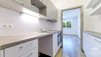 Pronájem nově zrekonstruovaného bytu 2+kk, 56 m², Uherské Hr