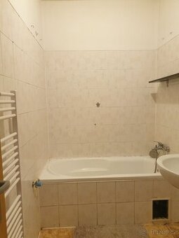 Pronájem bytu 1+kk Povel - 1