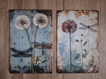 Plechová cedule 20x30cm vážky