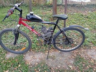 Motokolo 80 ccm