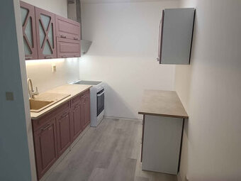 Pronajmu byt 2kk po rekonstrukci - 1