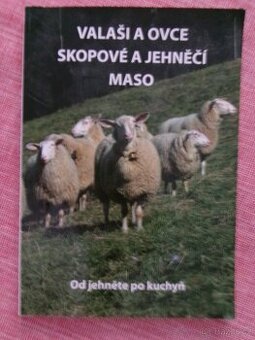 Valaši a ovce - skopové a jehněčí maso...