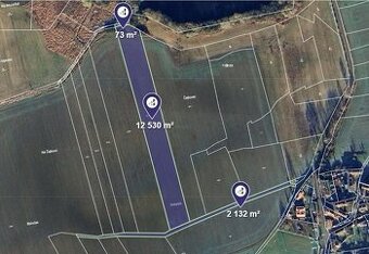 Prodej podílu 2/8 pole 4 057 m², Předotice - 1