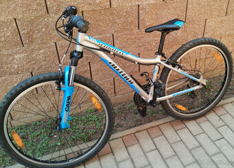 Juniorské kolo Author A-Matrix 26