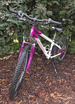 Author a-matrix, rám 13' a kola 24'