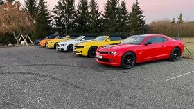 Mustang - Camaro - Challenger