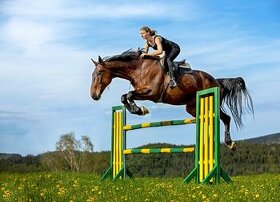 Obsedání a základní výcvik (nejenom) sportovních koní - 1