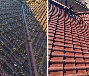 Středočeský kraj mladík od rodiny si rád přivydělá korunu za