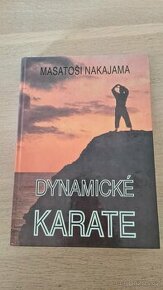 Dynamické karate - 1