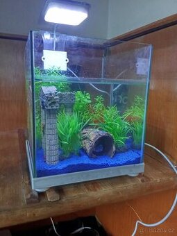 Akvárium/betarium 9l