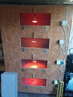 Velká odchovna drůbeže