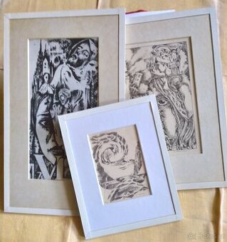 Nabízím tři grafické listy v rámečku od jedno autora- neznám