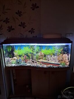 Prodej akvária setu
