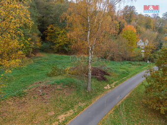 Prodej louky, 1025 m², Hlinová, Odrava