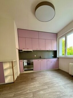 Prodej bytu 2+1, Piskovec, Kam. Šenov - 1