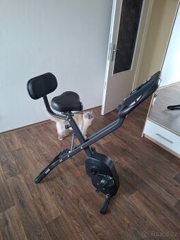 Rotoped azura 2x-Bike