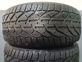 225/50 R17 RIKEN (3319)