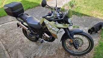 UM DSR ADVENTURE TT 125 ccm