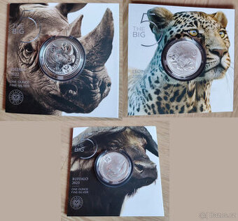 Big Five II - Buffalo, Rhino, Leopard