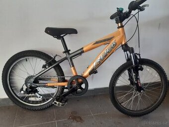 Dětské kolo ROCK MACHINE SURGE 20"