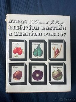 Atlas liecivych rastlín a lesných plodov