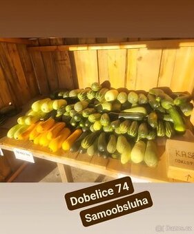 Cukety 10 Kč/ks samoobslužný stánek Dobelice