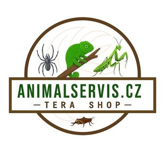 Vyhrazeno pro OZP